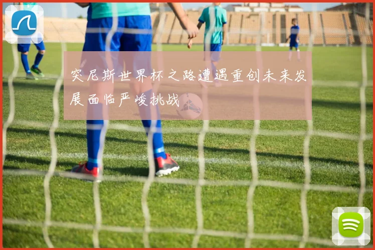 突尼斯世界杯之路遭遇重创未来发展面临严峻挑战